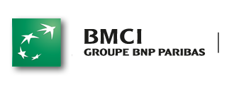 BMCI logo